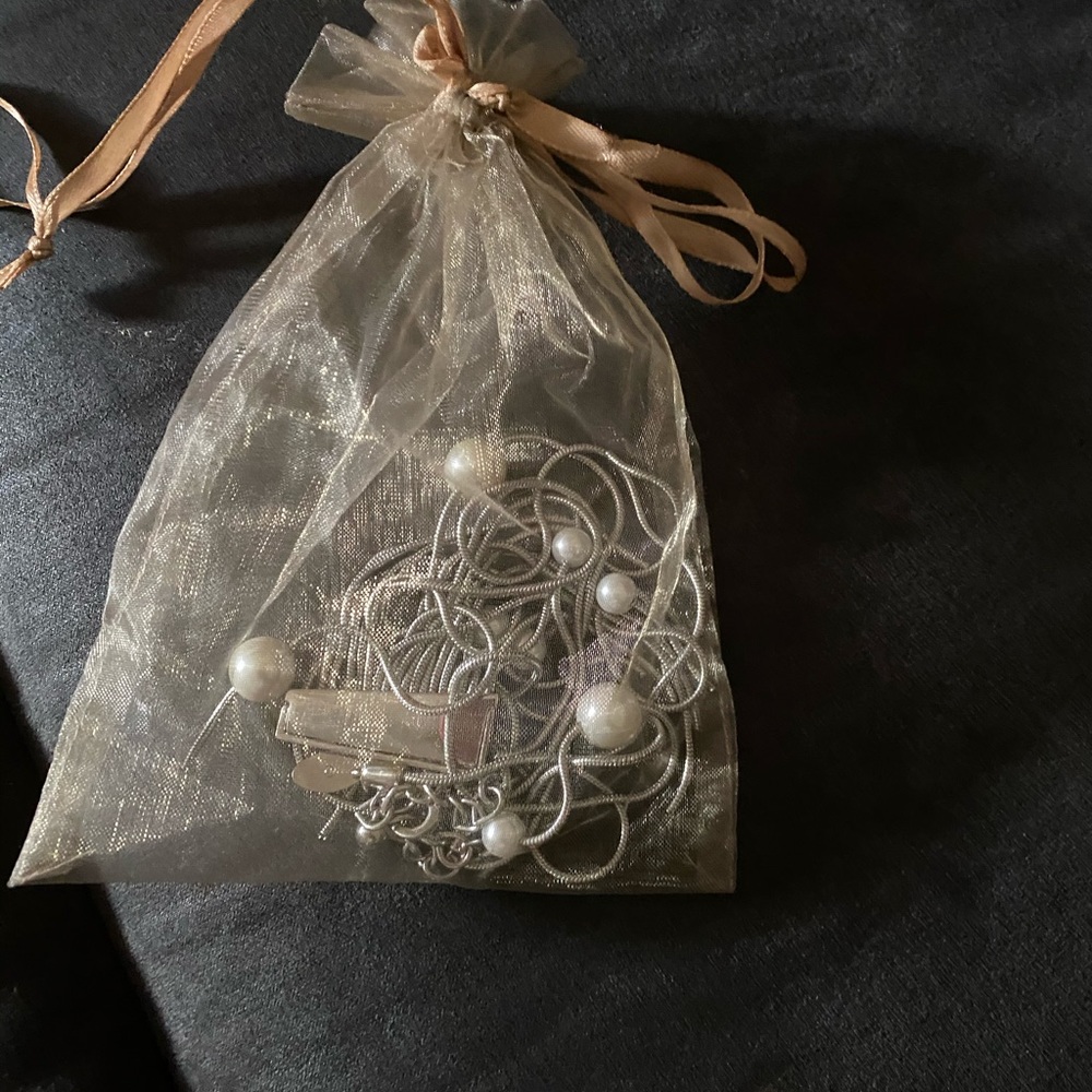 Chico’s long tassel silver necklace